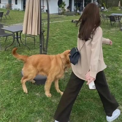 唯美貌不可辜负第一季